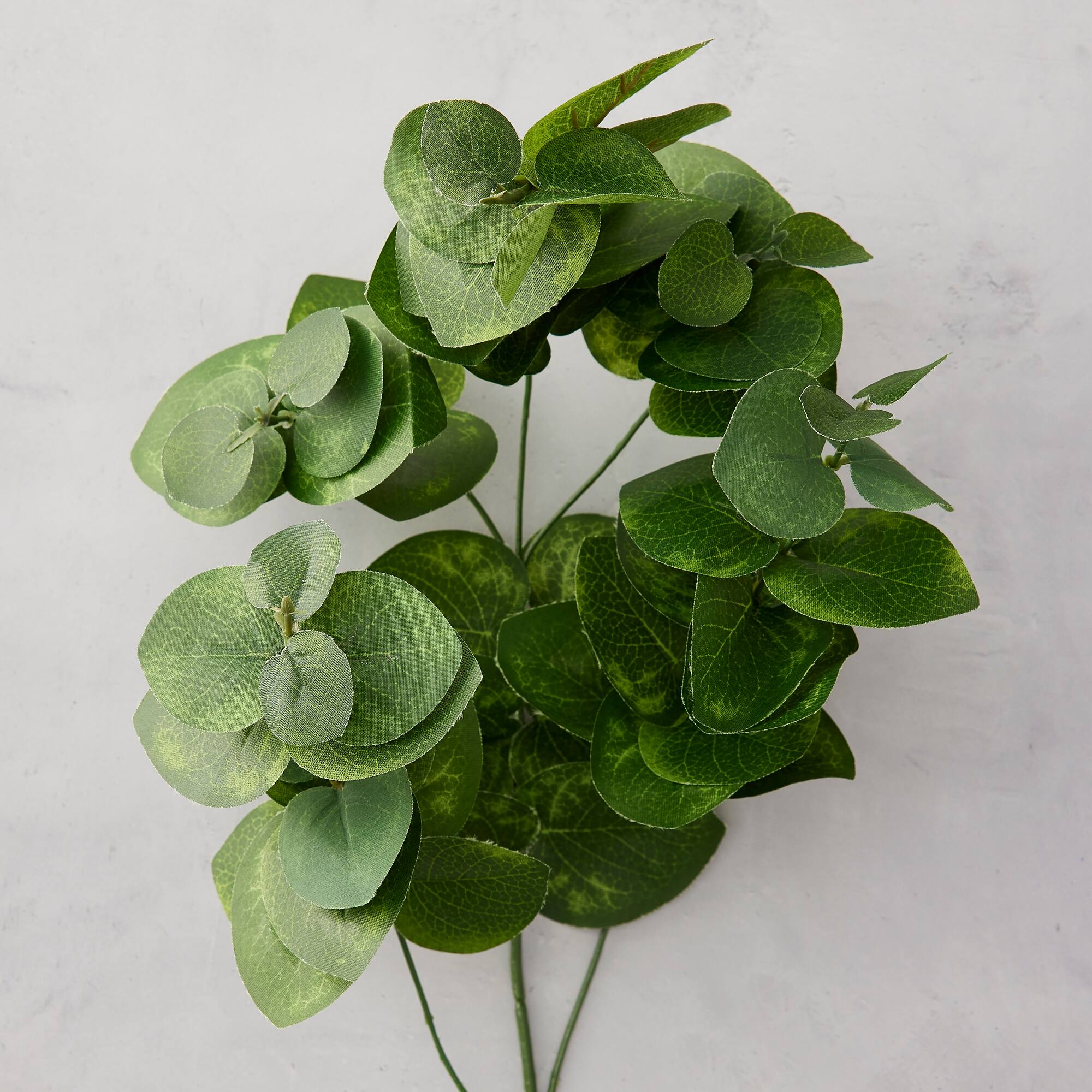 12 Pack: Green Eucalyptus Branch by Ashland